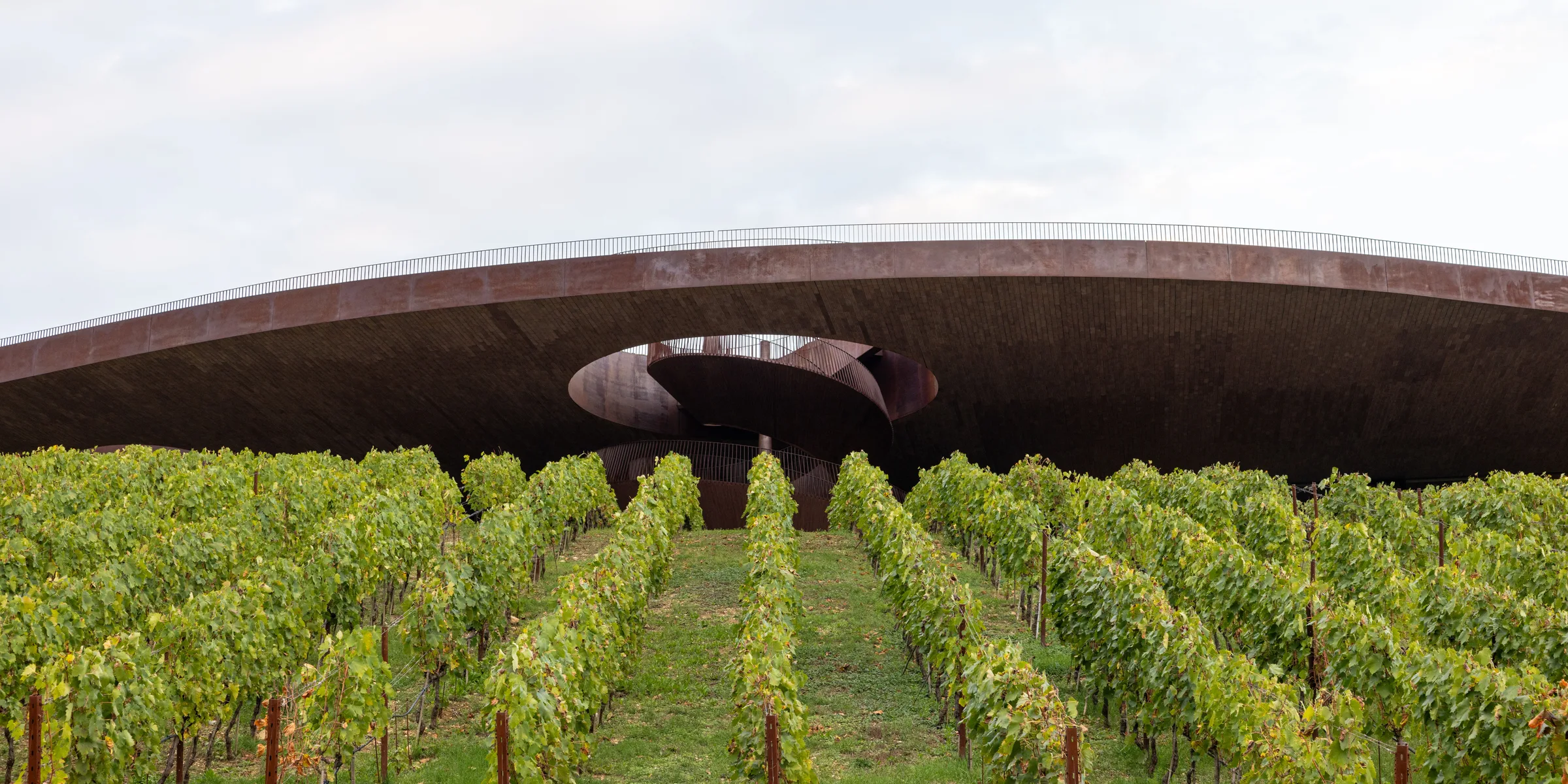 Cantina Antinori winery building with its curved bronze roof rising above a vineyard, Tuscany, by ARCHTRAITS