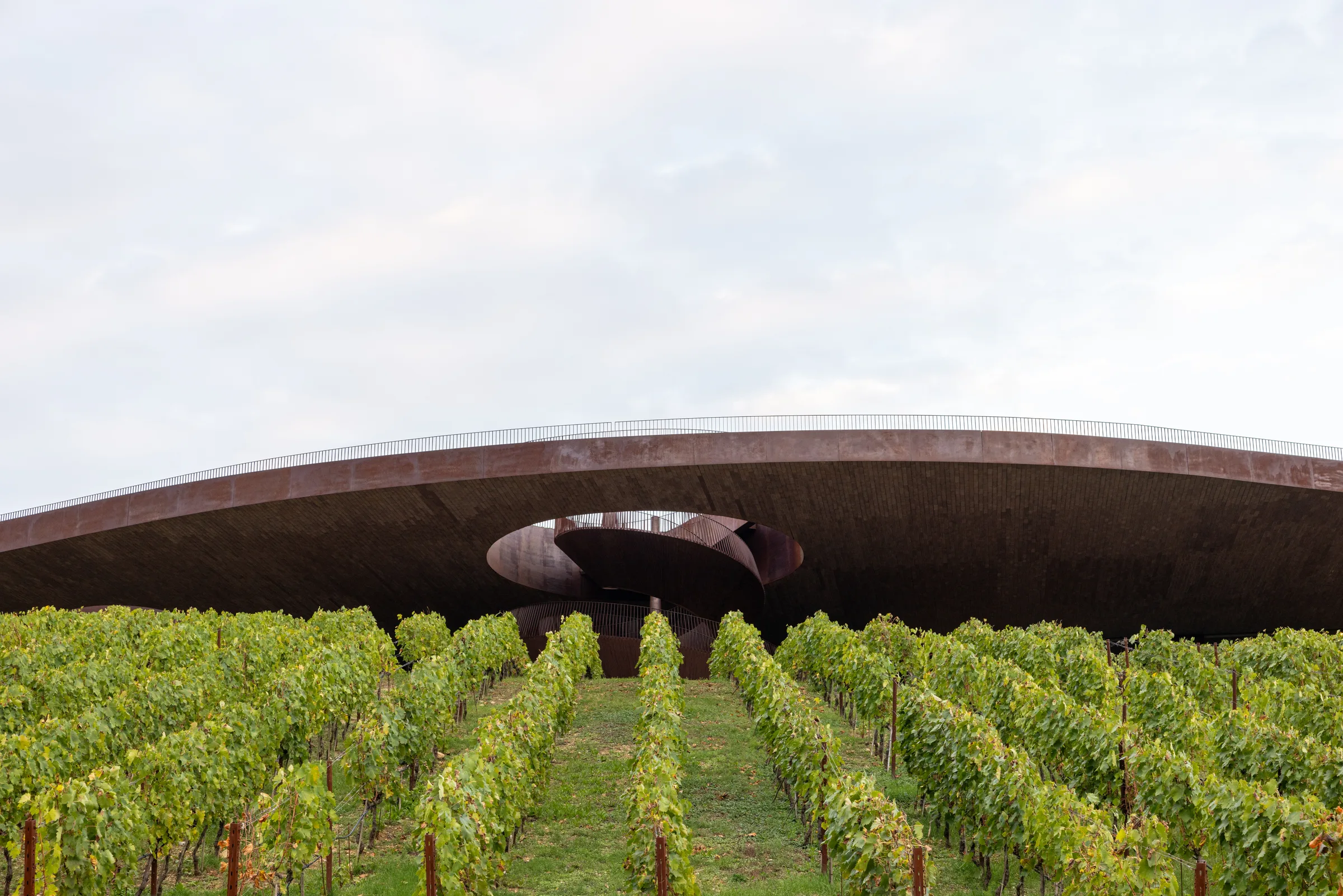 Cantina Antinori's grass-covered roof rising above rows of vines, framed symmetrically within the vineyard, Tuscany, by ARCHTRAITS