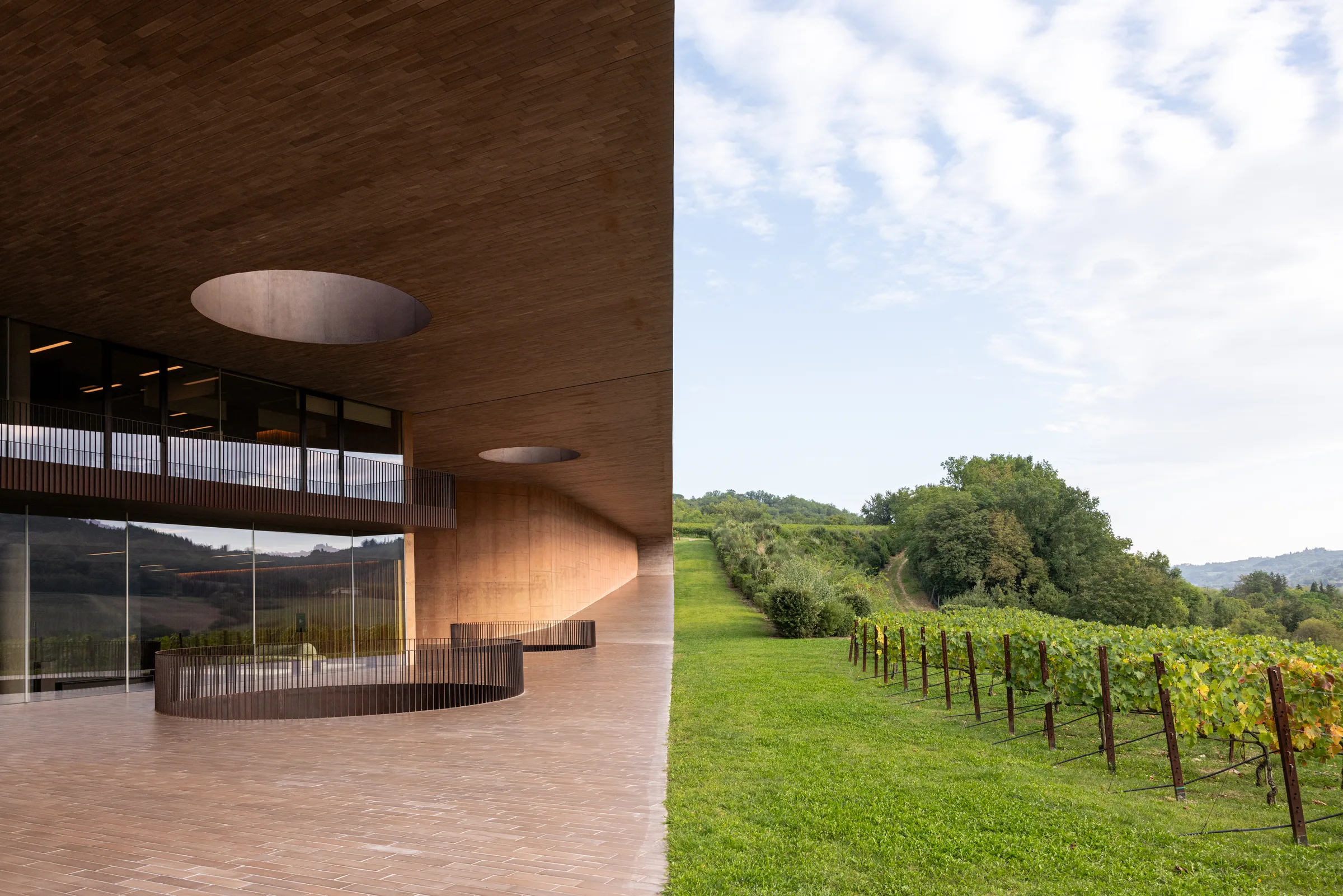 Split view of Cantina Antinori's cantilevered roof and glass facade beside rows of vines, Tuscany, by ARCHTRAITS