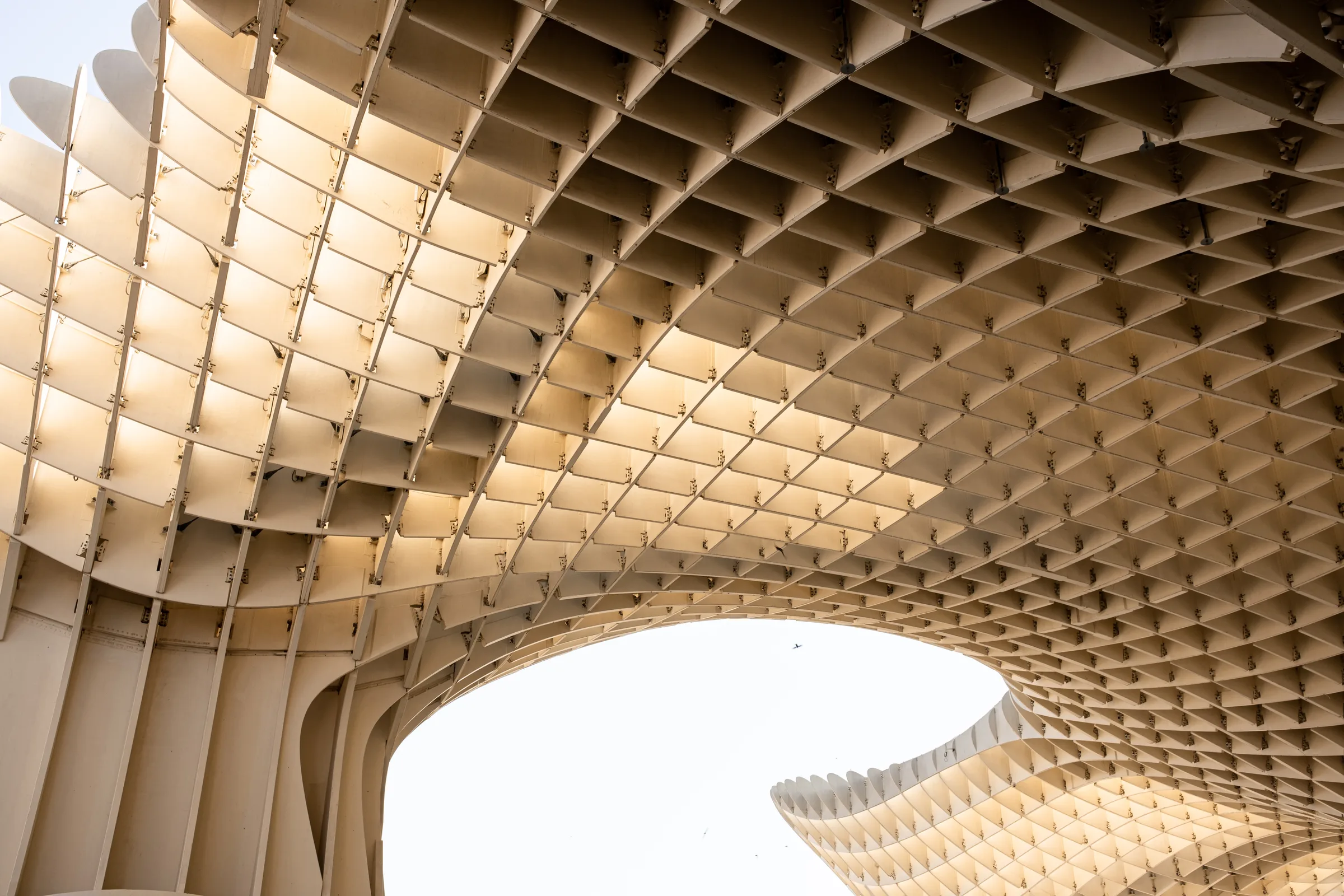 Underside of Metropol Parasol's curved wooden lattice canopy bathed in warm light, Seville, by ARCHTRAITS
