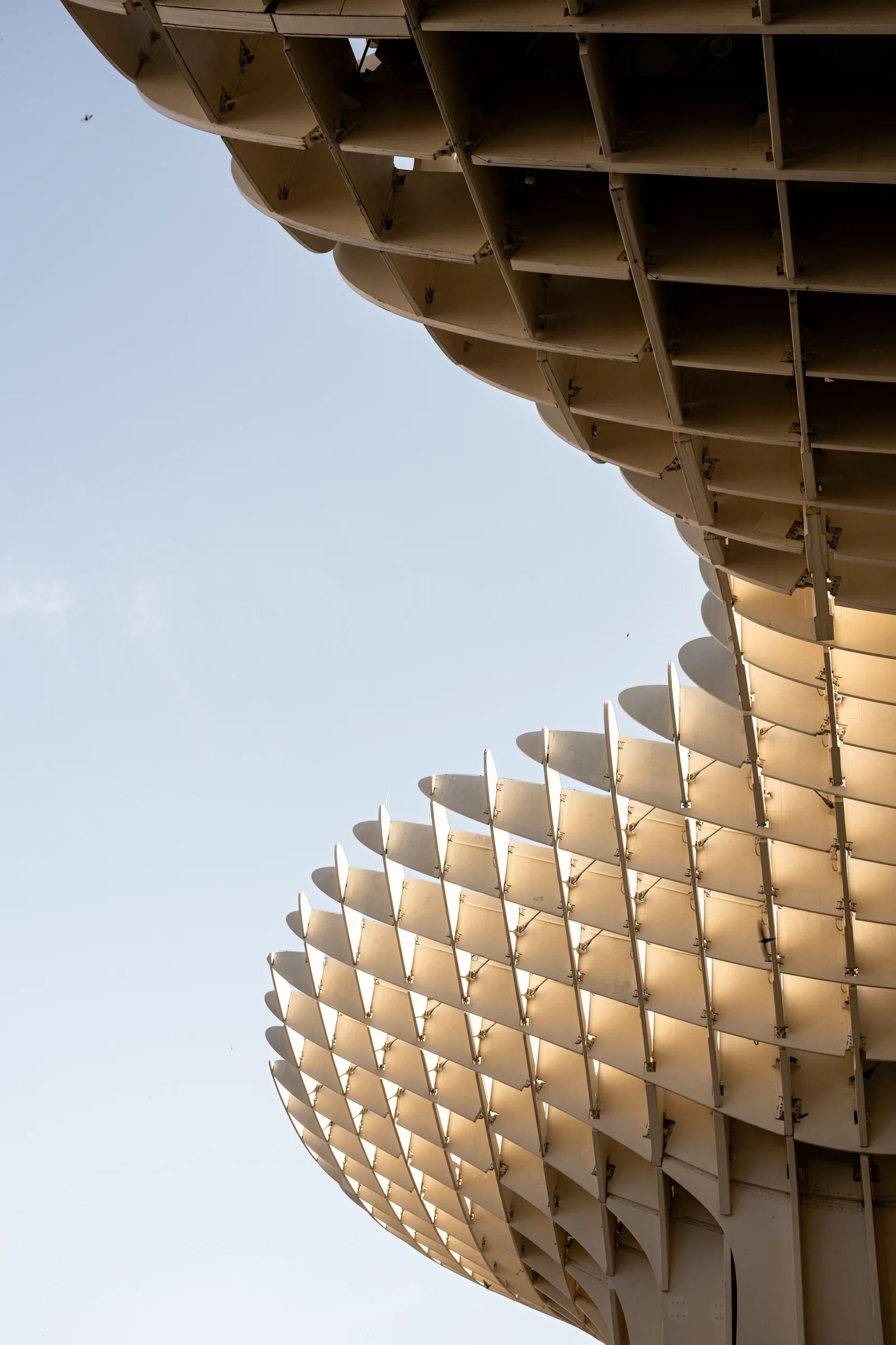 Architecture photography of Metropol Parasol, Seville, by ARCHTRAITS