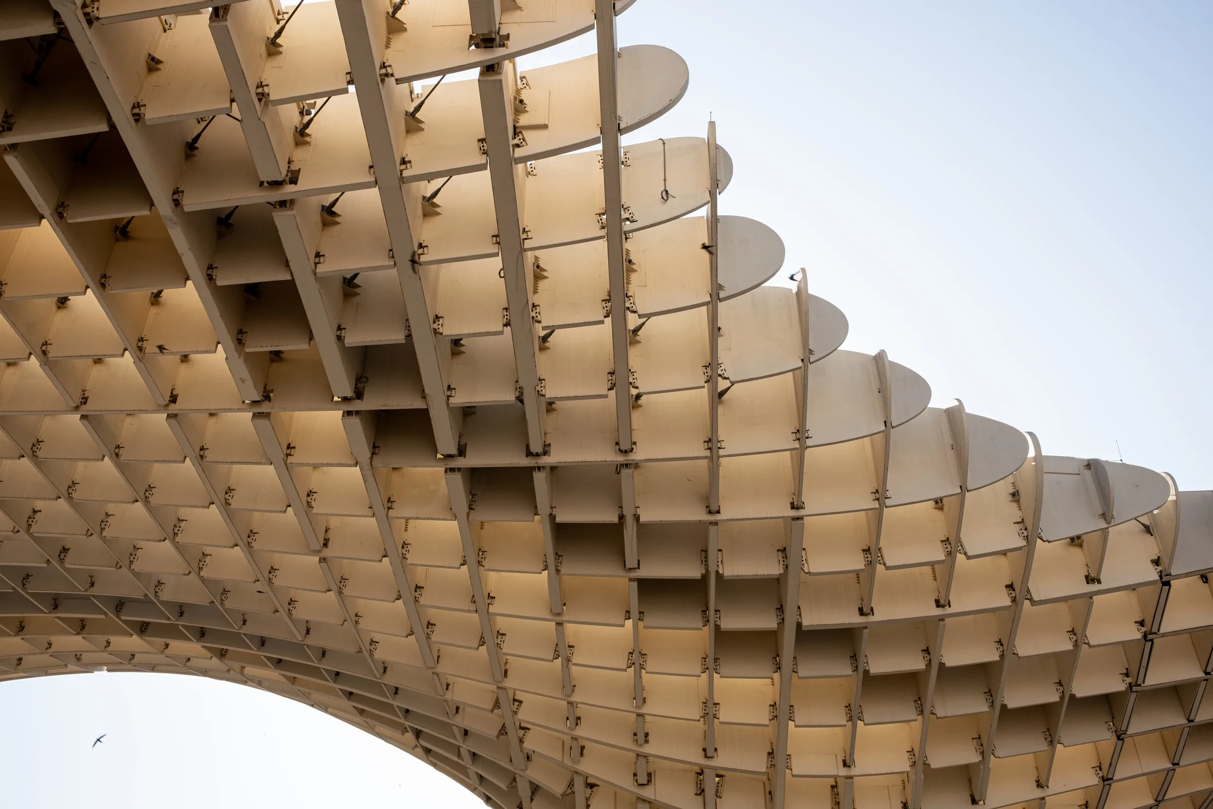 Architecture photography of Metropol Parasol, Seville, by ARCHTRAITS